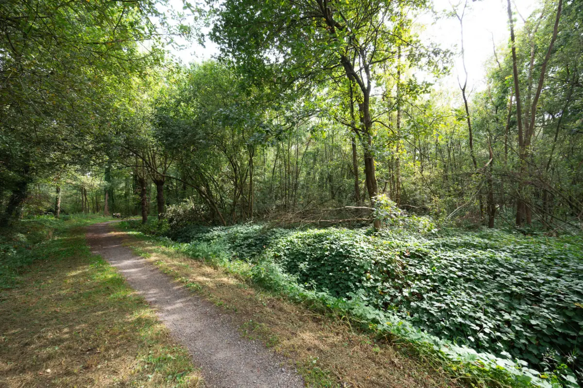 Terrain non bâtissable à vendre à Tremelo 3120 24500.00€  chambres m² - annonce 820245