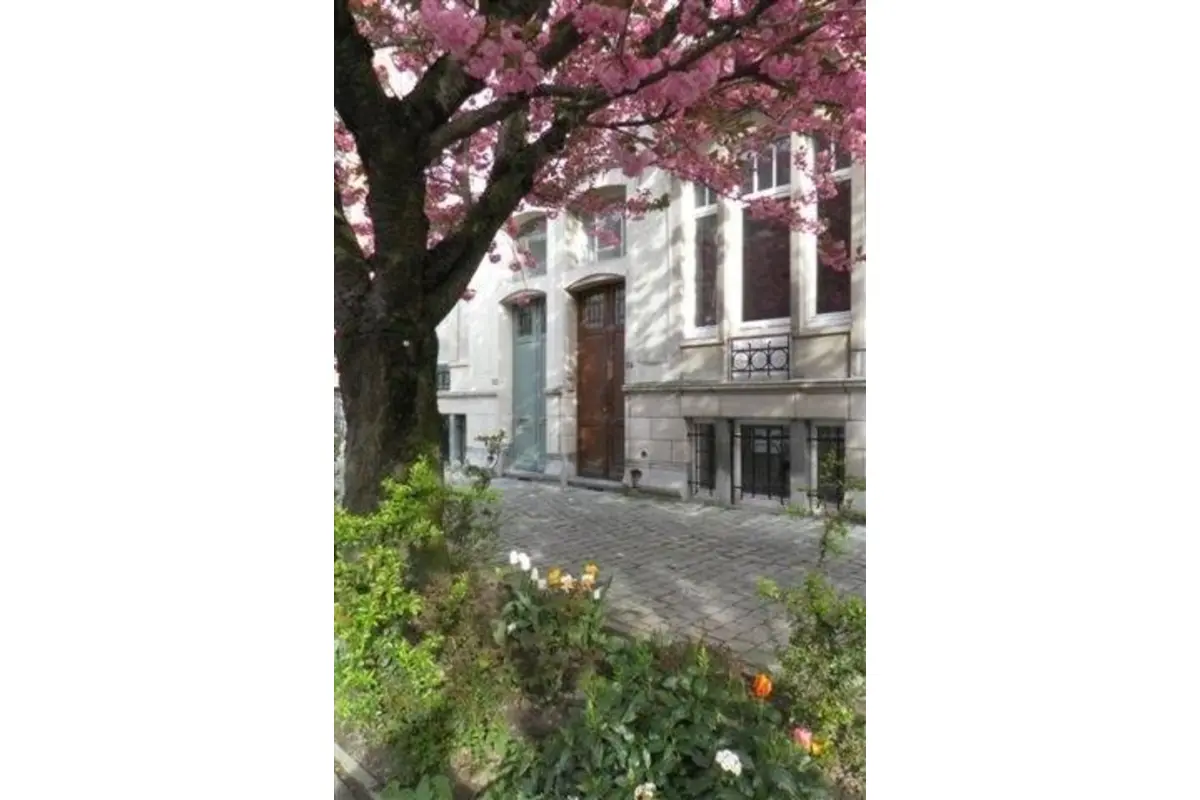 Penthouse te  huur in Schaarbeek 1030 1800.00€ 2 slaapkamers 123.00m² - Zoekertje 822675