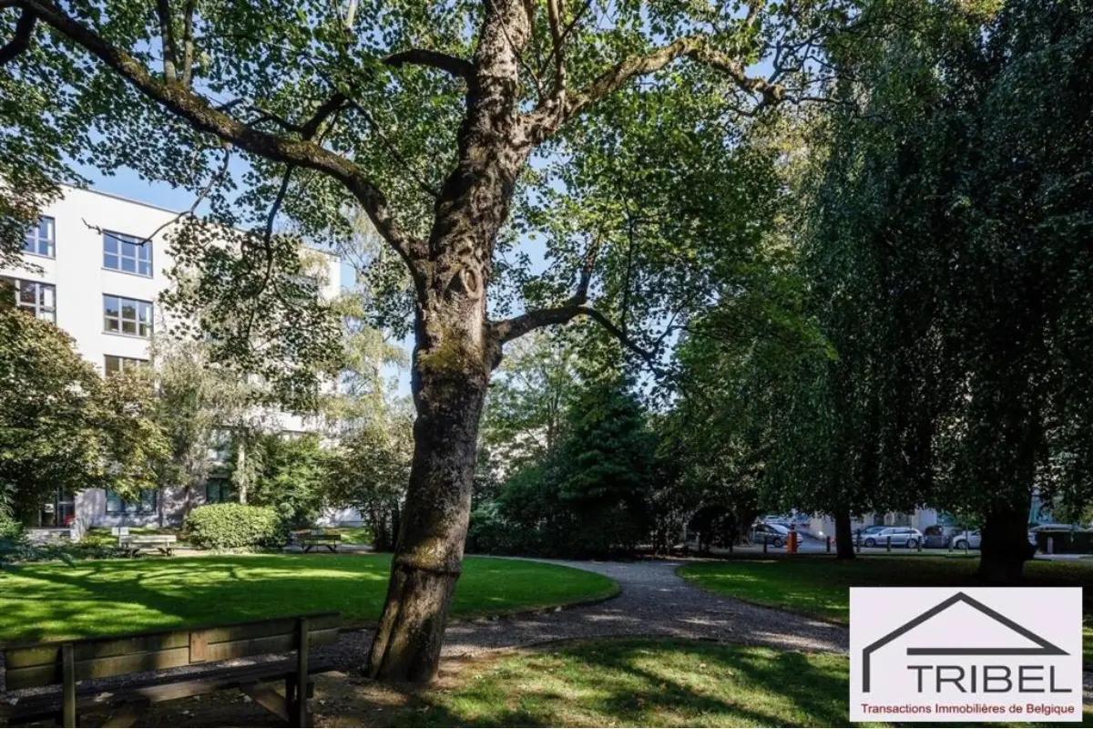 Handelszaak te  huur in Elsene 1050 6833.33€  slaapkamers 419.00m² - Zoekertje 826662