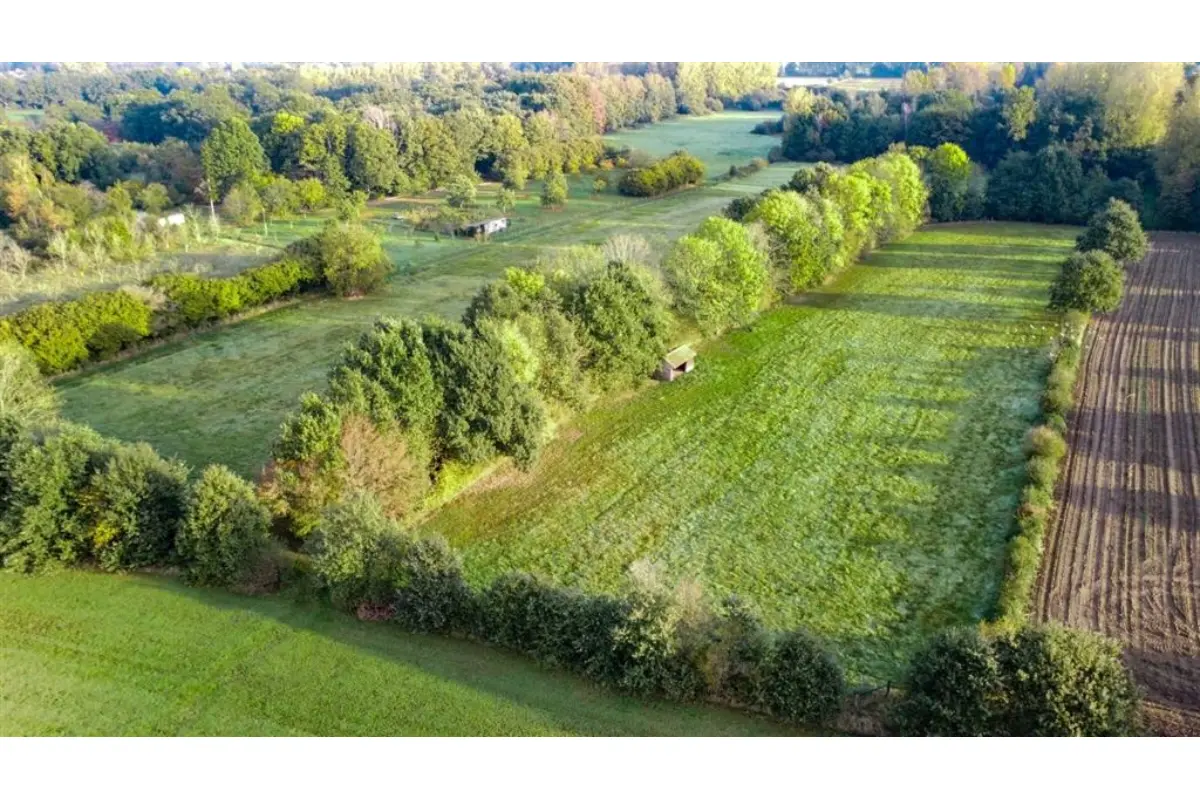 Terrain non bâtissable à vendre à Hallaar 2220 199000.00€  chambres m² - annonce 827137
