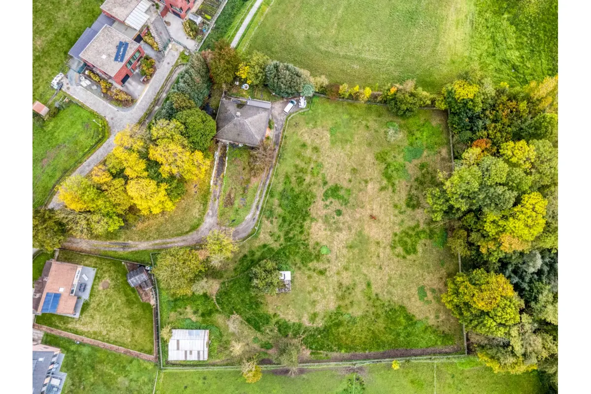 Terrain à vendre à Zwalm 9630 550000.00€  chambres m² - annonce 831007