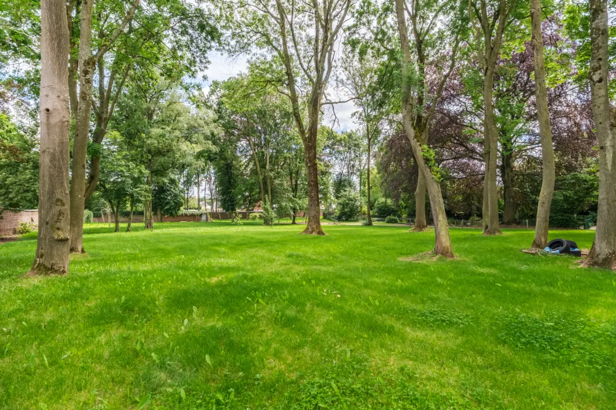 Terrain à vendre à Ransart 6043 995000.00€  chambres m² - annonce 830664