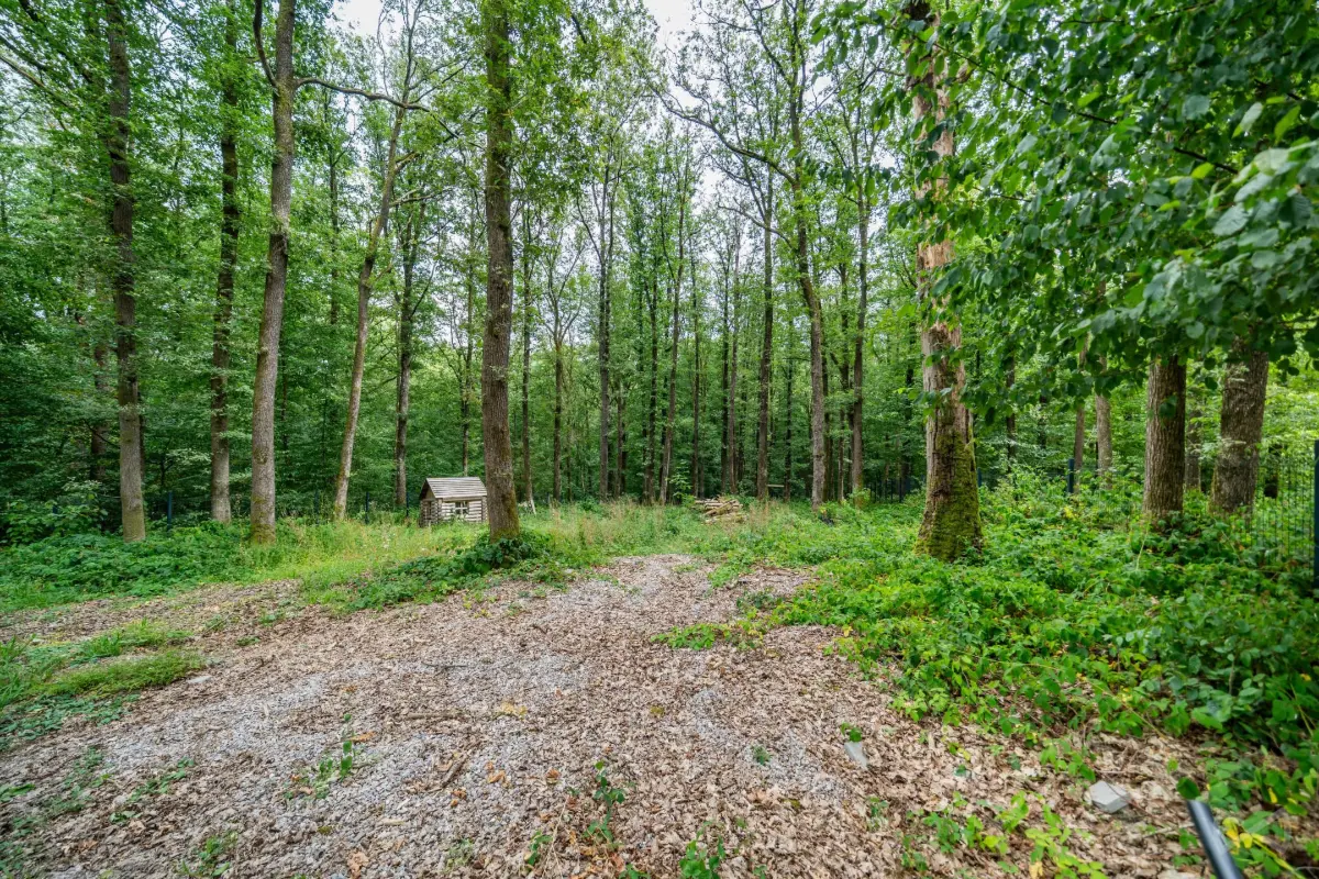 Terrain à vendre à Philippeville 5600 57000.00€  chambres m² - annonce 830768