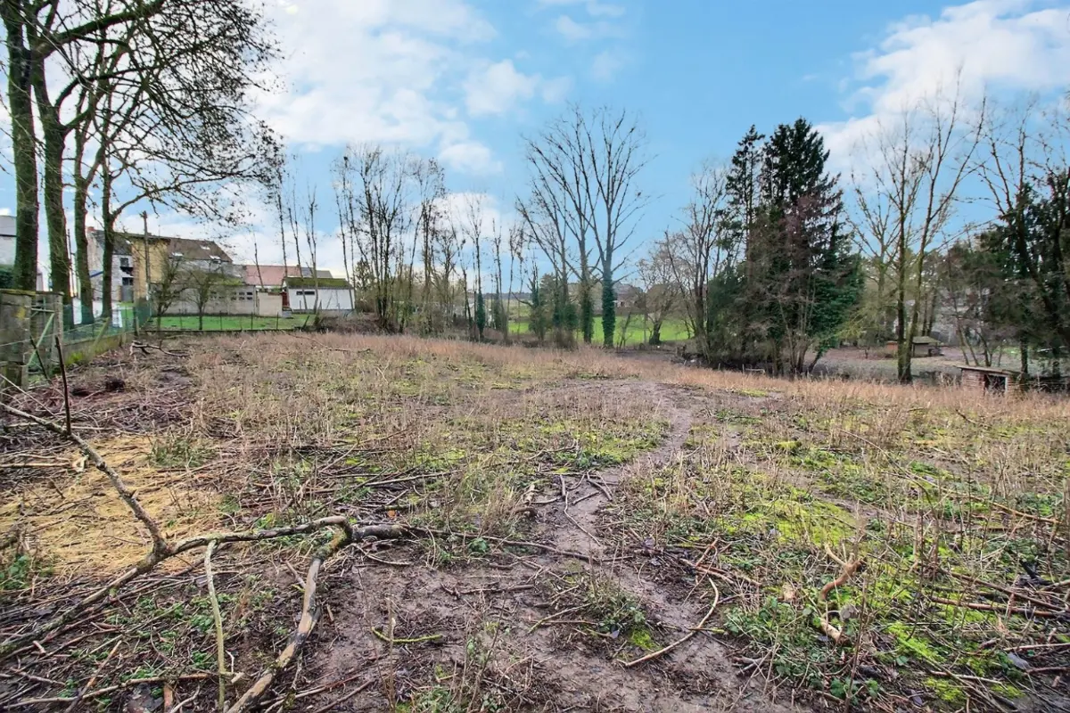 Terrain à vendre à Biesme 5640 49000.00€  chambres m² - annonce 830710