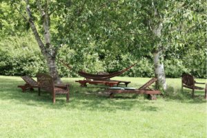 mobilier dans une maison avec jardin